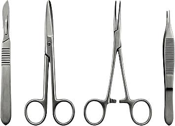 Plastic surgery program